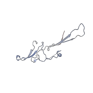 16150_8bpe_J_v1-3
8:1 binding of FcMR on IgM pentameric core