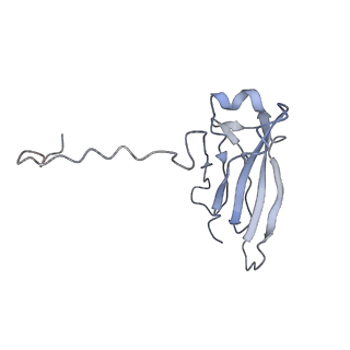16150_8bpe_L_v1-3
8:1 binding of FcMR on IgM pentameric core