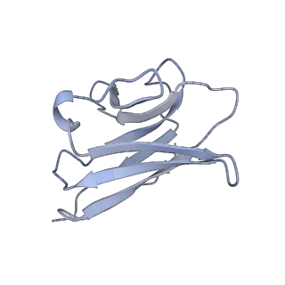 16150_8bpe_P_v1-3
8:1 binding of FcMR on IgM pentameric core