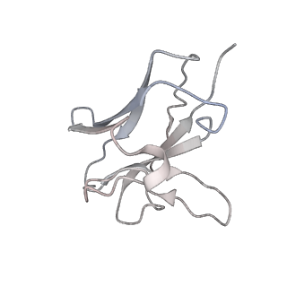 16150_8bpe_R_v1-3
8:1 binding of FcMR on IgM pentameric core