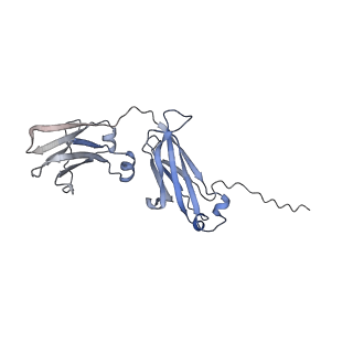 16151_8bpf_C_v1-3
FcMR binding at subunit Fcu1 of IgM pentamer