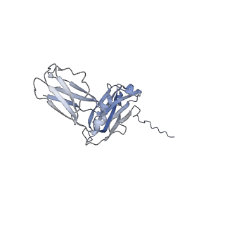 16151_8bpf_D_v1-3
FcMR binding at subunit Fcu1 of IgM pentamer