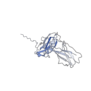 16151_8bpf_G_v1-3
FcMR binding at subunit Fcu1 of IgM pentamer