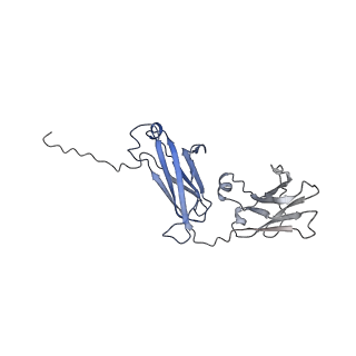 16151_8bpf_H_v1-3
FcMR binding at subunit Fcu1 of IgM pentamer