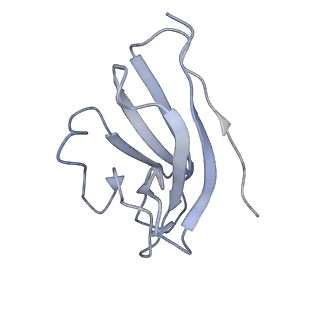 16151_8bpf_I_v1-3
FcMR binding at subunit Fcu1 of IgM pentamer