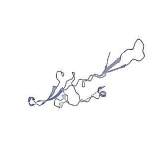 16151_8bpf_J_v1-3
FcMR binding at subunit Fcu1 of IgM pentamer