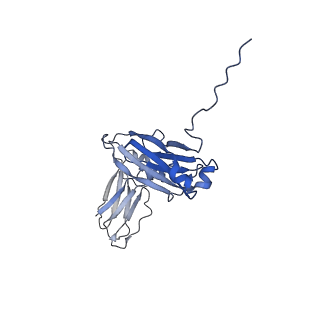 16152_8bpg_C_v1-3
FcMR binding at subunit Fcu3 of IgM pentamer