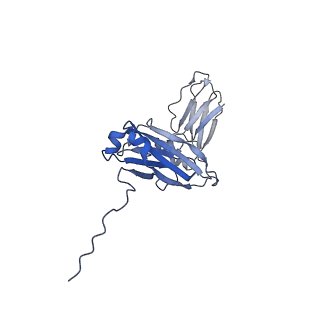 16152_8bpg_F_v1-3
FcMR binding at subunit Fcu3 of IgM pentamer