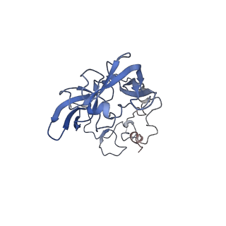 16155_8bpo_A2_v1-1
Structure of rabbit 80S ribosome translating beta-tubulin in complex with tetratricopeptide protein 5 (TTC5) and S-phase Cyclin A Associated Protein residing in the ER (SCAPER)