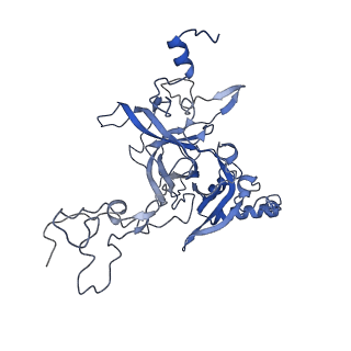16155_8bpo_B2_v1-1
Structure of rabbit 80S ribosome translating beta-tubulin in complex with tetratricopeptide protein 5 (TTC5) and S-phase Cyclin A Associated Protein residing in the ER (SCAPER)