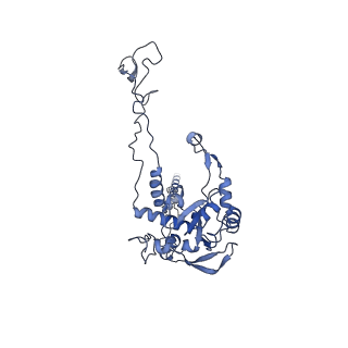 16155_8bpo_C2_v1-1
Structure of rabbit 80S ribosome translating beta-tubulin in complex with tetratricopeptide protein 5 (TTC5) and S-phase Cyclin A Associated Protein residing in the ER (SCAPER)