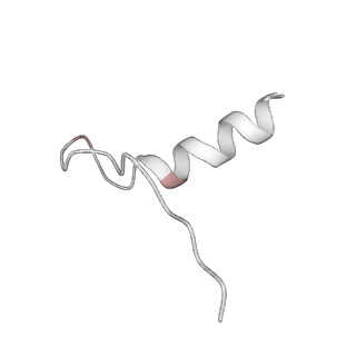 16155_8bpo_D1_v1-1
Structure of rabbit 80S ribosome translating beta-tubulin in complex with tetratricopeptide protein 5 (TTC5) and S-phase Cyclin A Associated Protein residing in the ER (SCAPER)