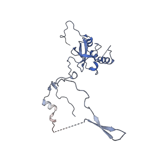 16155_8bpo_E2_v1-1
Structure of rabbit 80S ribosome translating beta-tubulin in complex with tetratricopeptide protein 5 (TTC5) and S-phase Cyclin A Associated Protein residing in the ER (SCAPER)
