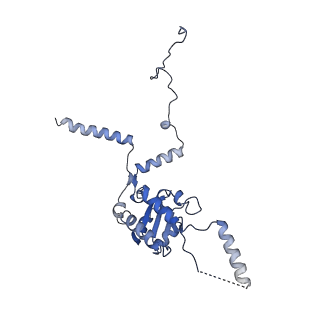16155_8bpo_G2_v1-1
Structure of rabbit 80S ribosome translating beta-tubulin in complex with tetratricopeptide protein 5 (TTC5) and S-phase Cyclin A Associated Protein residing in the ER (SCAPER)