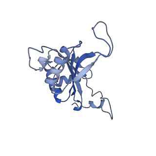 16155_8bpo_J2_v1-1
Structure of rabbit 80S ribosome translating beta-tubulin in complex with tetratricopeptide protein 5 (TTC5) and S-phase Cyclin A Associated Protein residing in the ER (SCAPER)