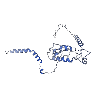16155_8bpo_K2_v1-1
Structure of rabbit 80S ribosome translating beta-tubulin in complex with tetratricopeptide protein 5 (TTC5) and S-phase Cyclin A Associated Protein residing in the ER (SCAPER)