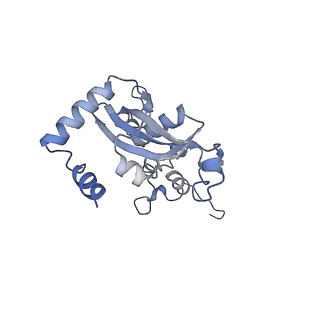 16155_8bpo_M2_v1-1
Structure of rabbit 80S ribosome translating beta-tubulin in complex with tetratricopeptide protein 5 (TTC5) and S-phase Cyclin A Associated Protein residing in the ER (SCAPER)