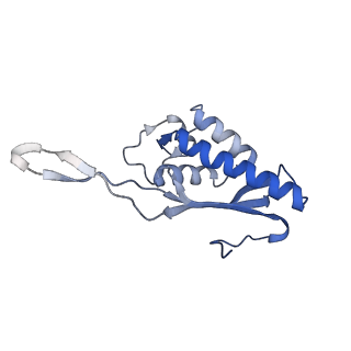 16155_8bpo_O2_v1-1
Structure of rabbit 80S ribosome translating beta-tubulin in complex with tetratricopeptide protein 5 (TTC5) and S-phase Cyclin A Associated Protein residing in the ER (SCAPER)
