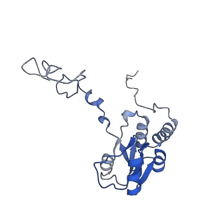 16155_8bpo_P2_v1-1
Structure of rabbit 80S ribosome translating beta-tubulin in complex with tetratricopeptide protein 5 (TTC5) and S-phase Cyclin A Associated Protein residing in the ER (SCAPER)