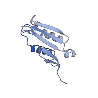 16155_8bpo_T2_v1-1
Structure of rabbit 80S ribosome translating beta-tubulin in complex with tetratricopeptide protein 5 (TTC5) and S-phase Cyclin A Associated Protein residing in the ER (SCAPER)