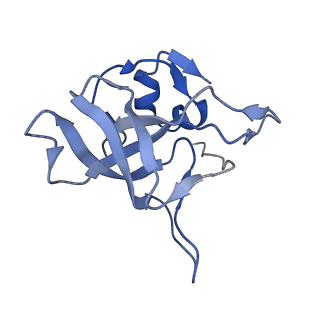 16155_8bpo_U2_v1-1
Structure of rabbit 80S ribosome translating beta-tubulin in complex with tetratricopeptide protein 5 (TTC5) and S-phase Cyclin A Associated Protein residing in the ER (SCAPER)