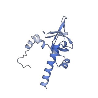 16155_8bpo_X2_v1-1
Structure of rabbit 80S ribosome translating beta-tubulin in complex with tetratricopeptide protein 5 (TTC5) and S-phase Cyclin A Associated Protein residing in the ER (SCAPER)
