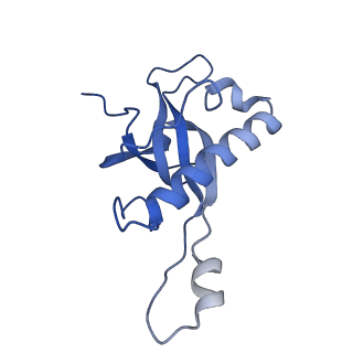 16155_8bpo_Y2_v1-1
Structure of rabbit 80S ribosome translating beta-tubulin in complex with tetratricopeptide protein 5 (TTC5) and S-phase Cyclin A Associated Protein residing in the ER (SCAPER)