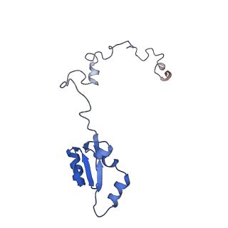 16155_8bpo_Z2_v1-1
Structure of rabbit 80S ribosome translating beta-tubulin in complex with tetratricopeptide protein 5 (TTC5) and S-phase Cyclin A Associated Protein residing in the ER (SCAPER)