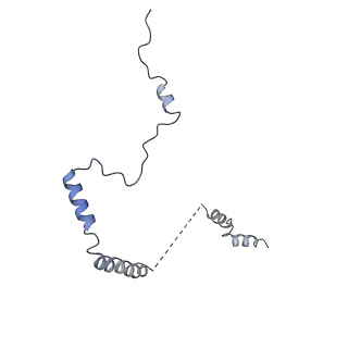 16155_8bpo_a2_v1-1
Structure of rabbit 80S ribosome translating beta-tubulin in complex with tetratricopeptide protein 5 (TTC5) and S-phase Cyclin A Associated Protein residing in the ER (SCAPER)