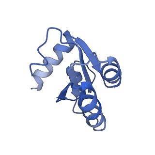 16155_8bpo_b2_v1-1
Structure of rabbit 80S ribosome translating beta-tubulin in complex with tetratricopeptide protein 5 (TTC5) and S-phase Cyclin A Associated Protein residing in the ER (SCAPER)
