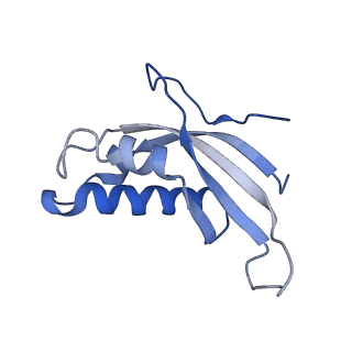 16155_8bpo_c2_v1-1
Structure of rabbit 80S ribosome translating beta-tubulin in complex with tetratricopeptide protein 5 (TTC5) and S-phase Cyclin A Associated Protein residing in the ER (SCAPER)