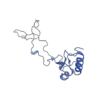 16155_8bpo_d2_v1-1
Structure of rabbit 80S ribosome translating beta-tubulin in complex with tetratricopeptide protein 5 (TTC5) and S-phase Cyclin A Associated Protein residing in the ER (SCAPER)