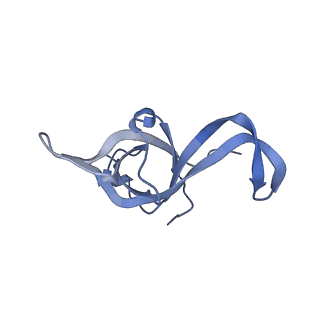 16155_8bpo_e2_v1-1
Structure of rabbit 80S ribosome translating beta-tubulin in complex with tetratricopeptide protein 5 (TTC5) and S-phase Cyclin A Associated Protein residing in the ER (SCAPER)