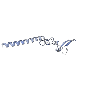 16155_8bpo_f2_v1-1
Structure of rabbit 80S ribosome translating beta-tubulin in complex with tetratricopeptide protein 5 (TTC5) and S-phase Cyclin A Associated Protein residing in the ER (SCAPER)