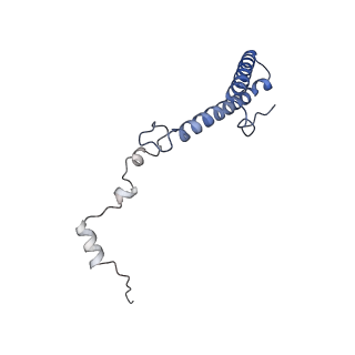 16155_8bpo_g2_v1-1
Structure of rabbit 80S ribosome translating beta-tubulin in complex with tetratricopeptide protein 5 (TTC5) and S-phase Cyclin A Associated Protein residing in the ER (SCAPER)