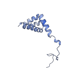16155_8bpo_h2_v1-1
Structure of rabbit 80S ribosome translating beta-tubulin in complex with tetratricopeptide protein 5 (TTC5) and S-phase Cyclin A Associated Protein residing in the ER (SCAPER)