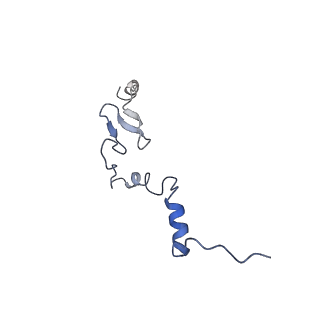 16155_8bpo_i2_v1-1
Structure of rabbit 80S ribosome translating beta-tubulin in complex with tetratricopeptide protein 5 (TTC5) and S-phase Cyclin A Associated Protein residing in the ER (SCAPER)