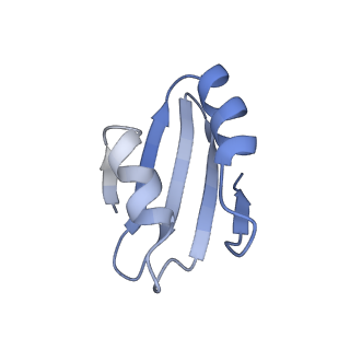 16155_8bpo_j2_v1-1
Structure of rabbit 80S ribosome translating beta-tubulin in complex with tetratricopeptide protein 5 (TTC5) and S-phase Cyclin A Associated Protein residing in the ER (SCAPER)