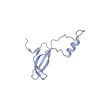 16155_8bpo_n2_v1-1
Structure of rabbit 80S ribosome translating beta-tubulin in complex with tetratricopeptide protein 5 (TTC5) and S-phase Cyclin A Associated Protein residing in the ER (SCAPER)