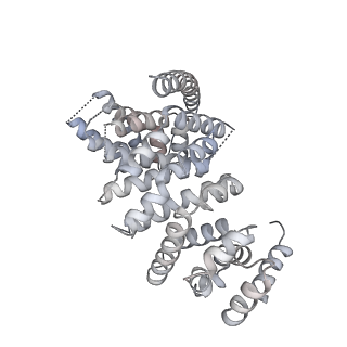 16155_8bpo_s2_v1-1
Structure of rabbit 80S ribosome translating beta-tubulin in complex with tetratricopeptide protein 5 (TTC5) and S-phase Cyclin A Associated Protein residing in the ER (SCAPER)