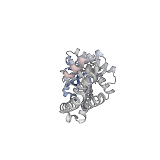 16155_8bpo_t2_v1-1
Structure of rabbit 80S ribosome translating beta-tubulin in complex with tetratricopeptide protein 5 (TTC5) and S-phase Cyclin A Associated Protein residing in the ER (SCAPER)