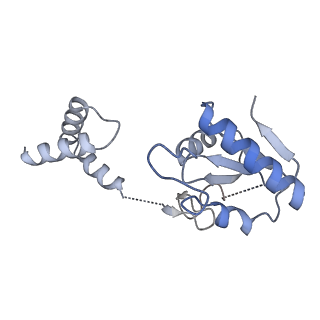 16164_8bpr_F_v1-2
Complex of RecF-RecO-RecR-DNA from Thermus thermophilus (low resolution reconstruction).