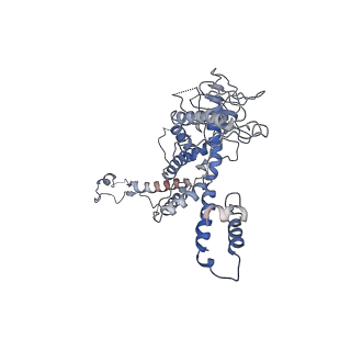 30138_7bp0_a_v1-0
Packing Bacteriophage T7 portal protein GP8