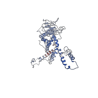 30138_7bp0_b_v1-0
Packing Bacteriophage T7 portal protein GP8