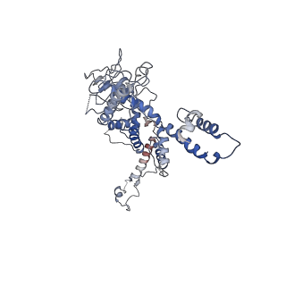 30138_7bp0_c_v1-0
Packing Bacteriophage T7 portal protein GP8