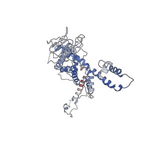 30138_7bp0_c_v1-1
Packing Bacteriophage T7 portal protein GP8