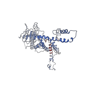 30138_7bp0_d_v1-0
Packing Bacteriophage T7 portal protein GP8