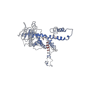 30138_7bp0_d_v1-1
Packing Bacteriophage T7 portal protein GP8