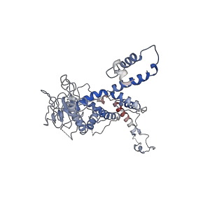 30138_7bp0_e_v1-0
Packing Bacteriophage T7 portal protein GP8