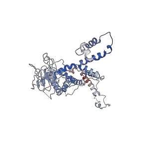 30138_7bp0_e_v1-1
Packing Bacteriophage T7 portal protein GP8